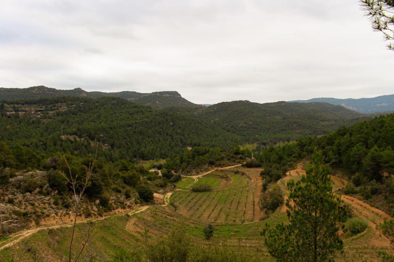 Torre Del Marques Hotel Spa & Winery - Small Luxury Hotels 몬로요 외부 사진